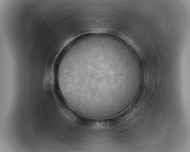 X0000116610584200912111136