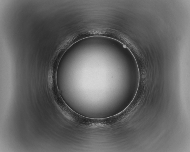 X0000116610586200912111136