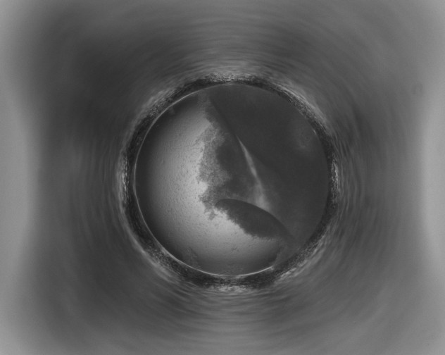 X0000116610590200912111136