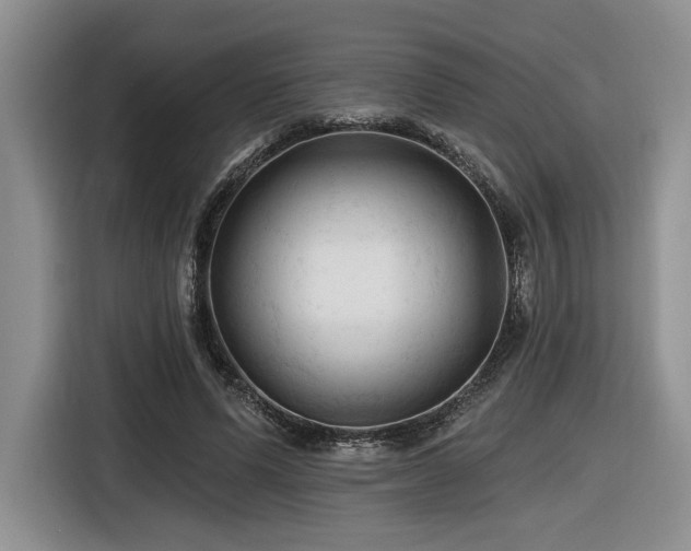 X0000116610591200912111136
