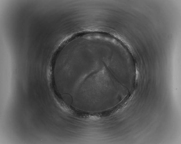 X0000116610592200912111136