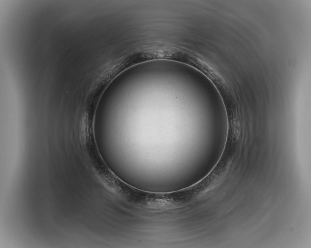 X0000116610594200912111135