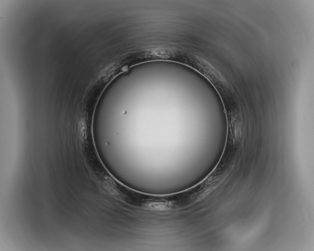 X0000116610595200912111135