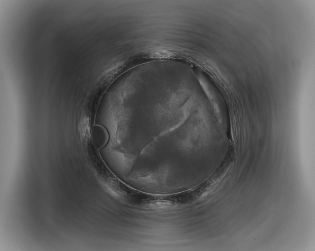 X0000116610598200912111135