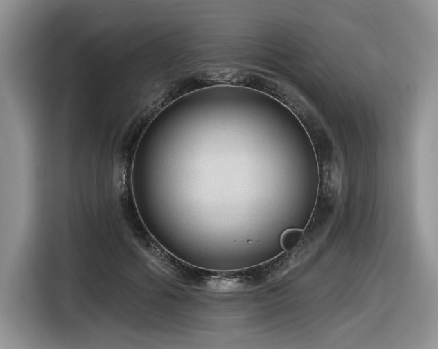 X0000116610602200912111135