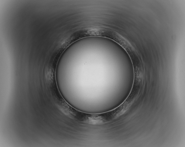 X0000116610603200912111135