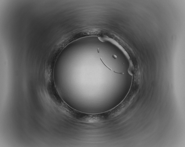 X0000116610604200912111135