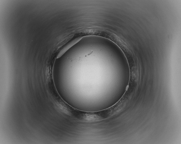 X0000116610605200912111135