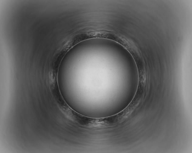 X0000116610607200912111135
