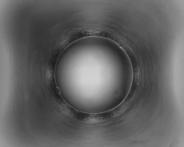 X0000116610608200912111135