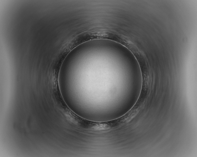 X0000116610609200912111135