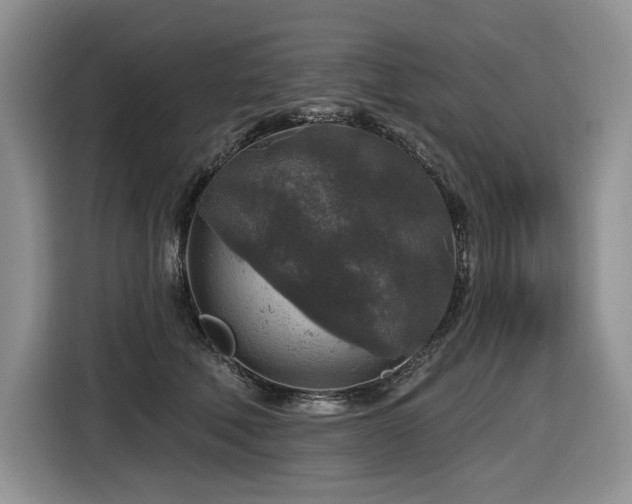 X0000116610610200912111135