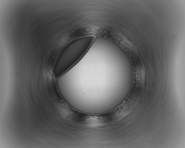 X0000116610611200912111135