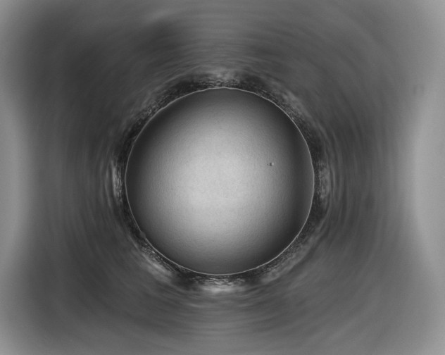 X0000116610613200912111135