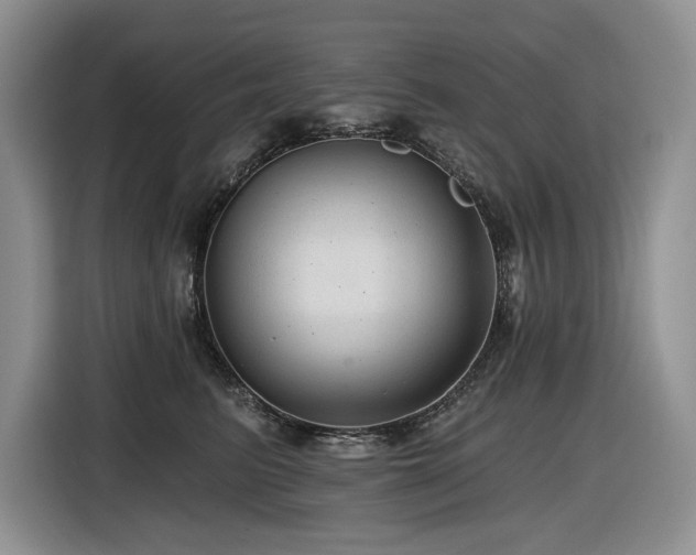 X0000116610615200912111135