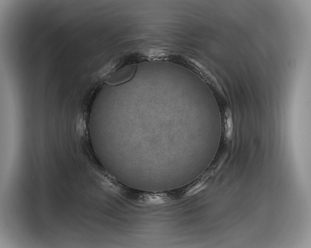 X0000116610618200912111135