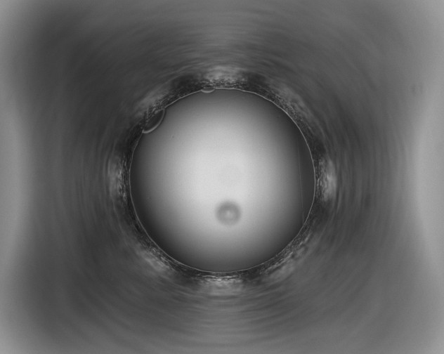 X0000116610619200912111135