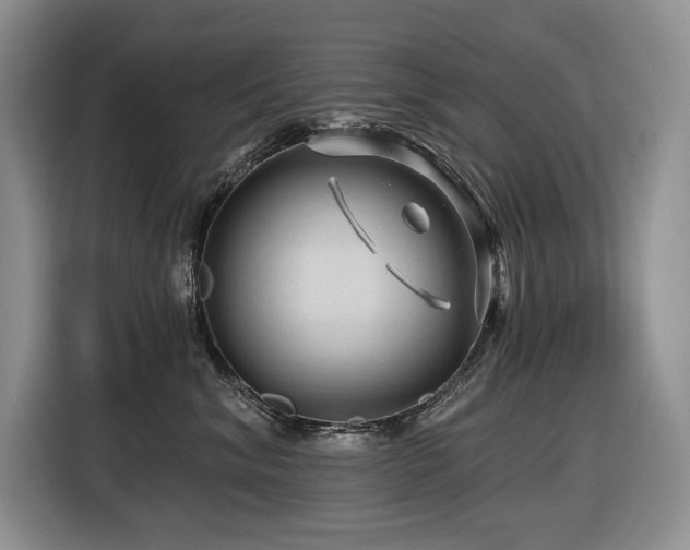 X0000116610620200912111135
