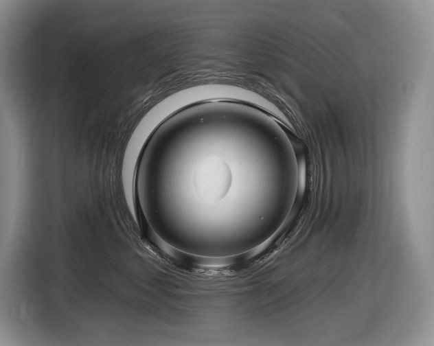 X0000116610621200912111135