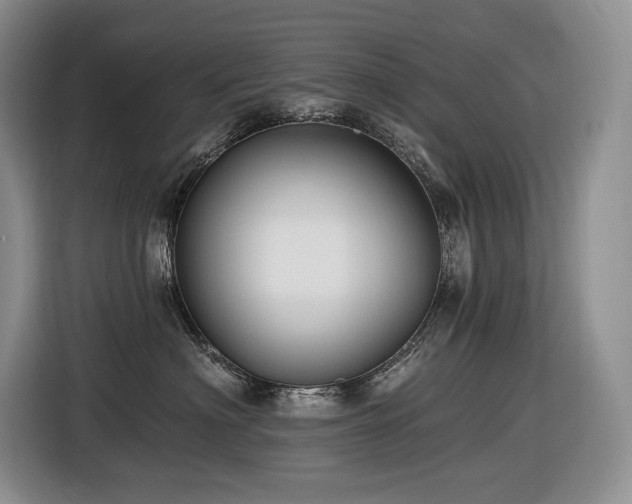 X0000116610622200912111135