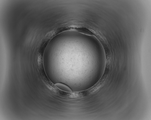 X0000116610623200912111135