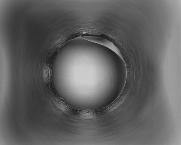 X0000116610624200912111135