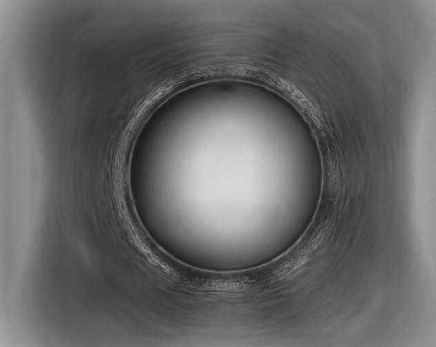 X0000116610625200912111134