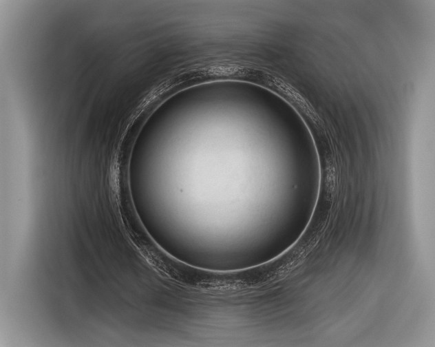 X0000116610626200912111135