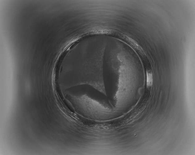 X0000116610627200912111135