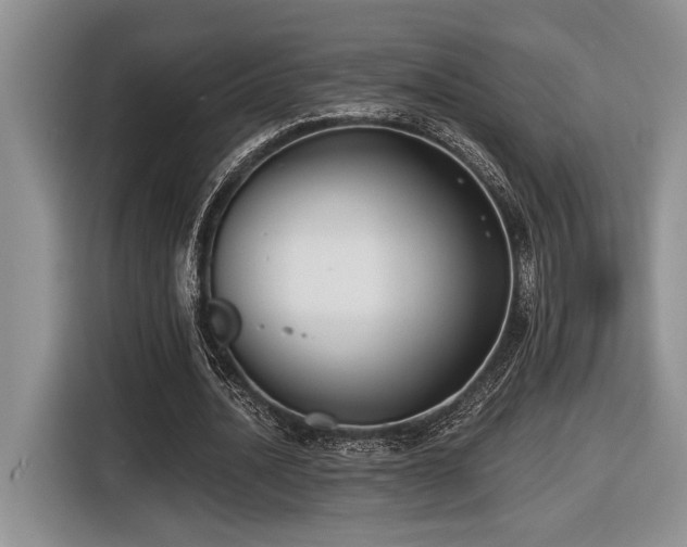 X0000116610628200912111135