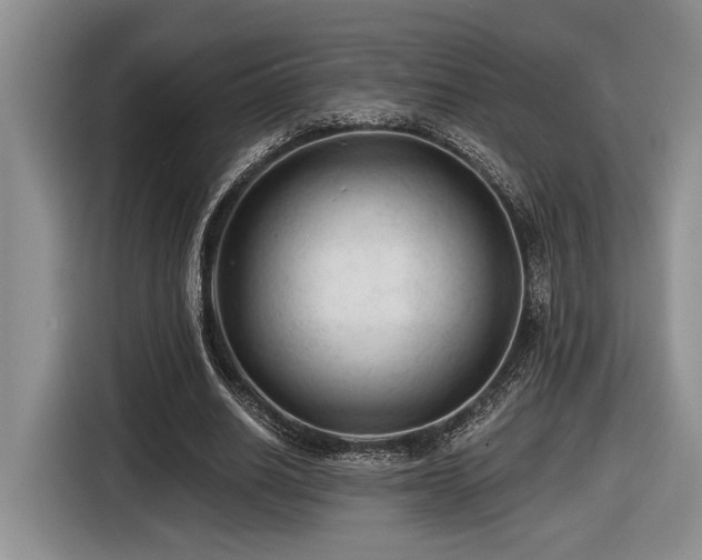 X0000116610630200912111135