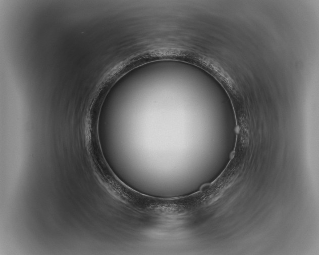 X0000116610631200912111135