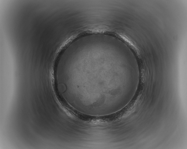 X0000116610634200912111135