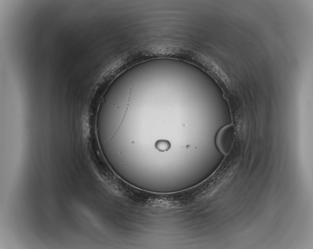 X0000116610635200912111135