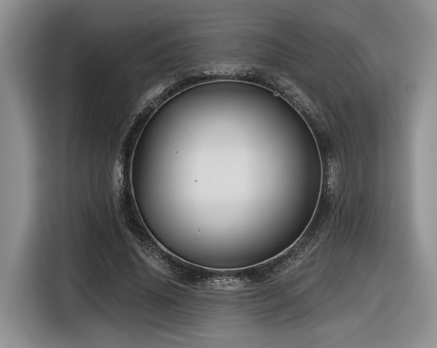 X0000116610636200912111135