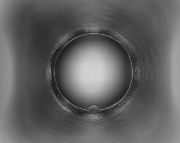 X0000116610638200912111135
