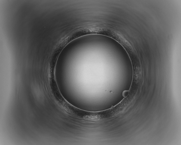 X0000116610639200912111135