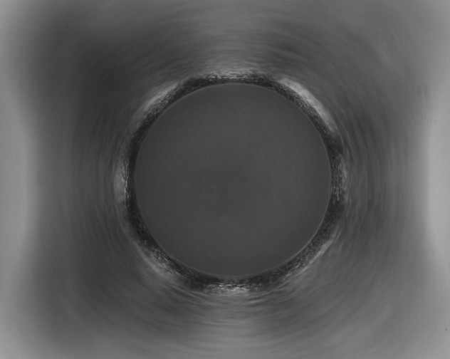 X0000116610640200912111135