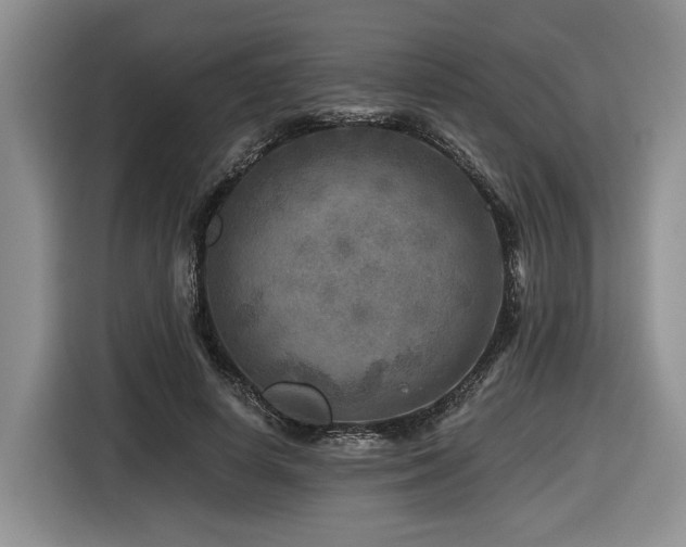 X0000116610642200912111135