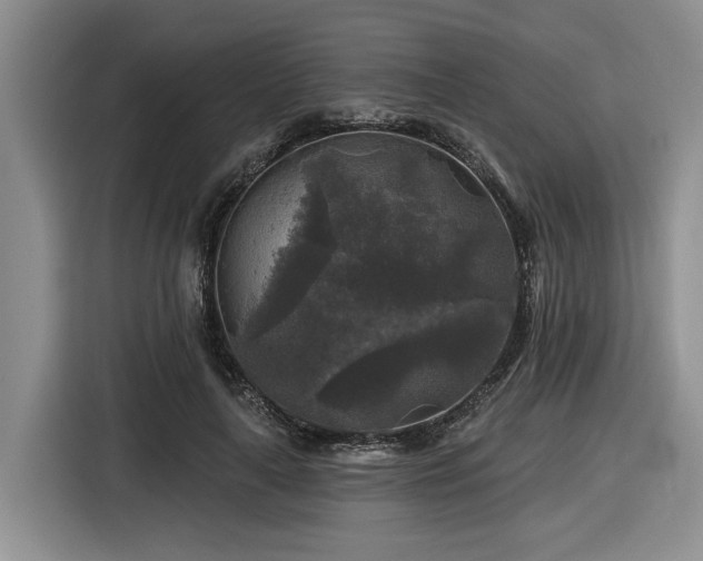 X0000116610643200912111135