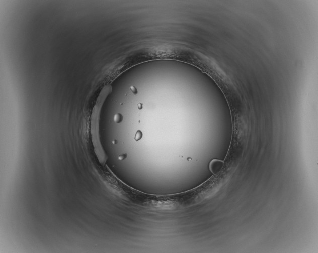 X0000116610645200912111135