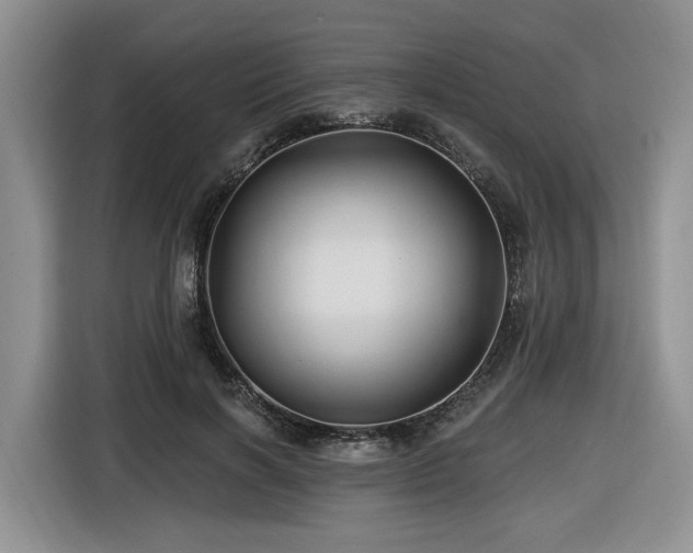 X0000116610646200912111135