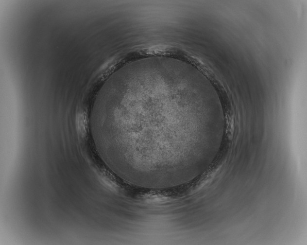 X0000116610648200912111135