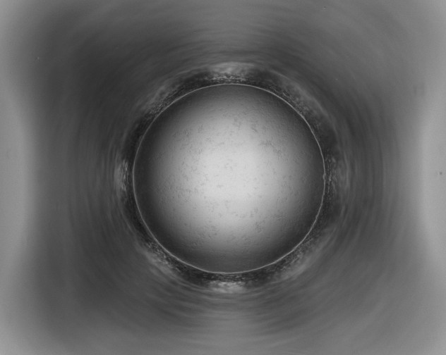X0000116610649200912111135