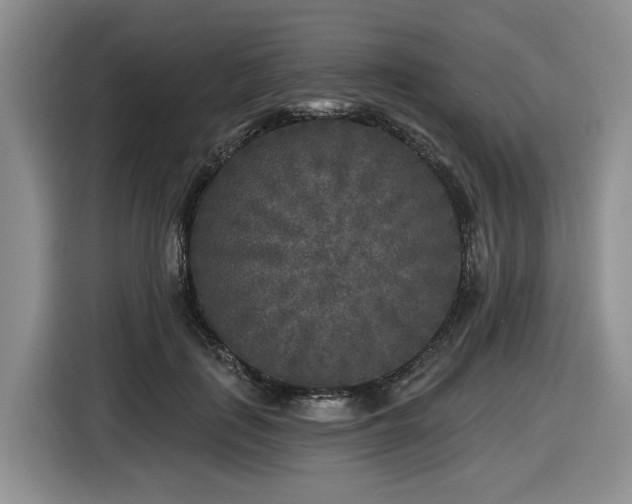 X0000116610651200912111135