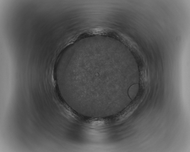 X0000116610653200912111135