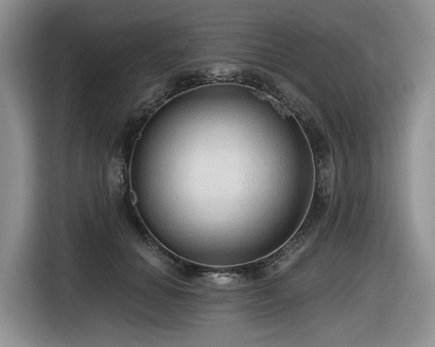 X0000116610654200912111135