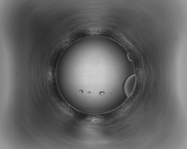 X0000116610655200912111135