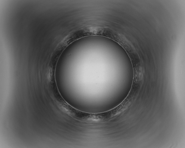 X0000116610656200912111135