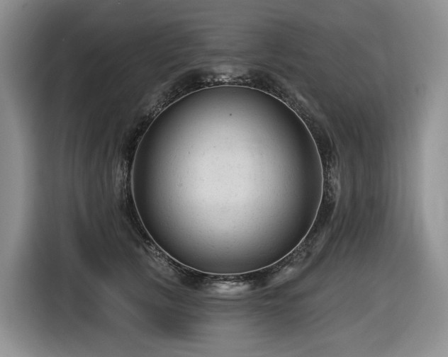 X0000116610657200912111135